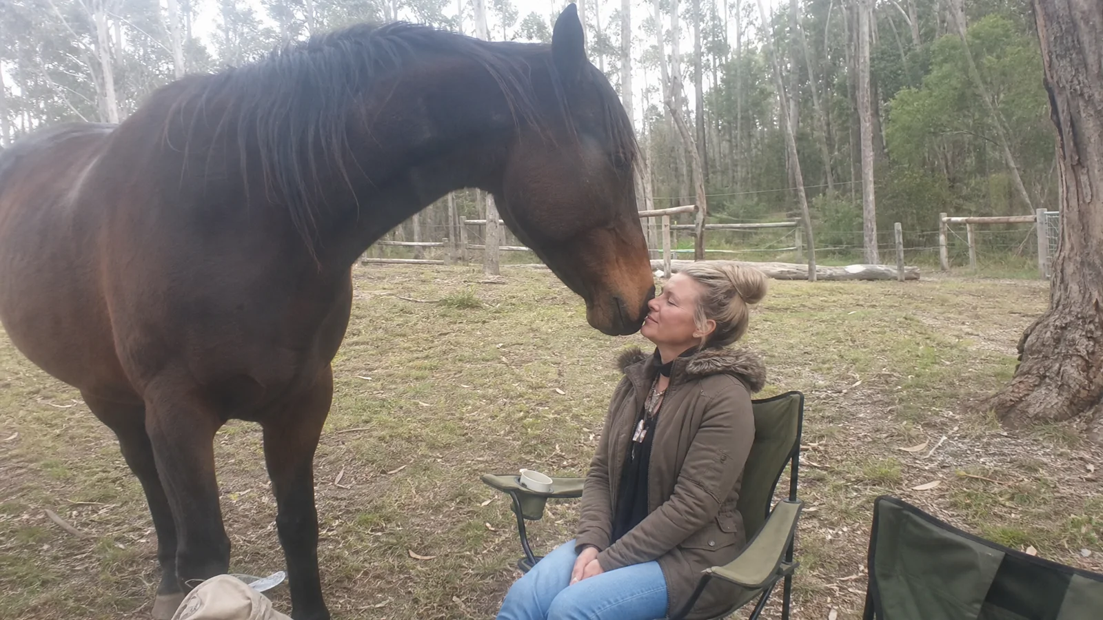 A horse standing very close to a calm seated person, both still, sense of quiet attunement, misty paddock