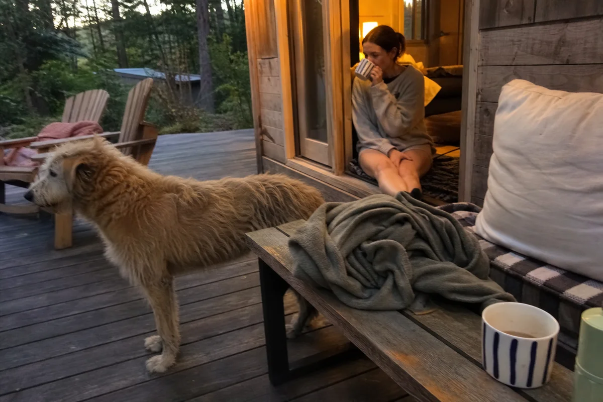 A quiet evening scene on the deck, low light, forest edge beyond, restful