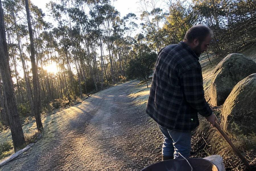 Frosted autumn morning at Eureka Pines, sunlight through gum trees over the driveway