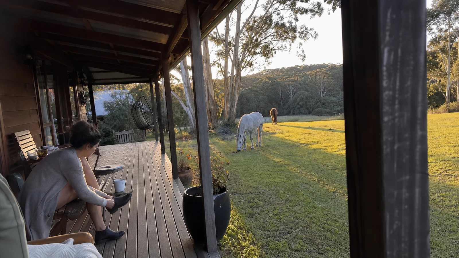 The Stables cabin and paddocks at golden hour, sense of arrival and settling in for a stay