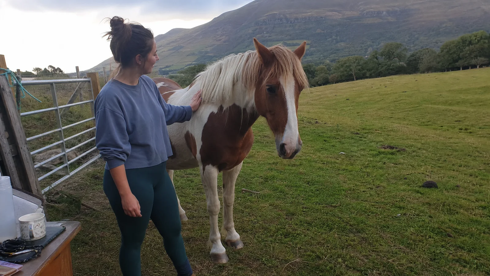 Woman resting a hand on a brown and white horse in an open paddock, calm and unposed, morning light